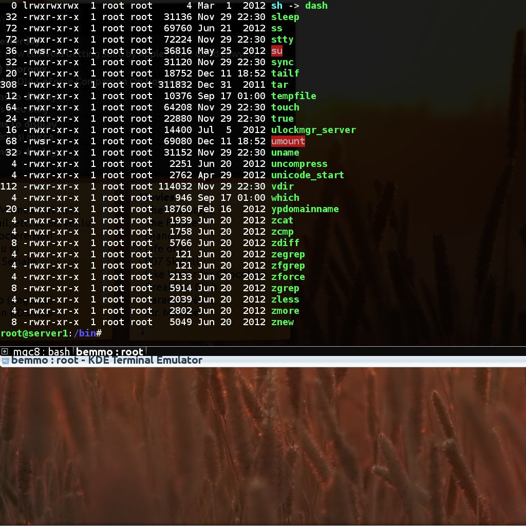 Server Screenshot
